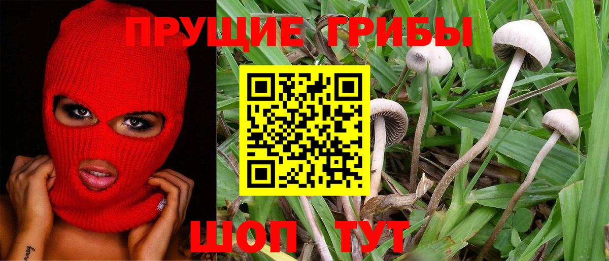 где продают   Вход с VPN  Сергиев Посад  Псилоцибиновые грибы Magic Shrooms 